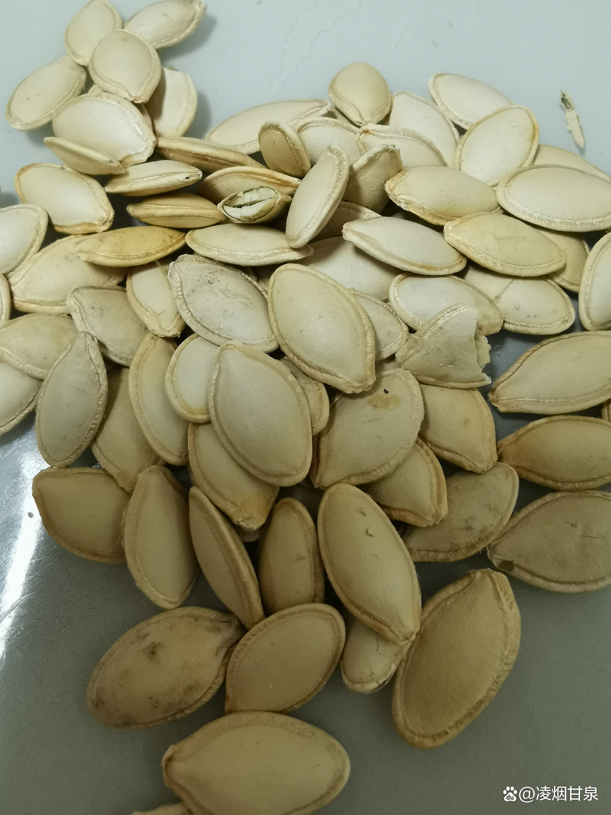 市场上面卖的南瓜籽是真的吗,市面上的南瓜籽是真正的南瓜籽吗