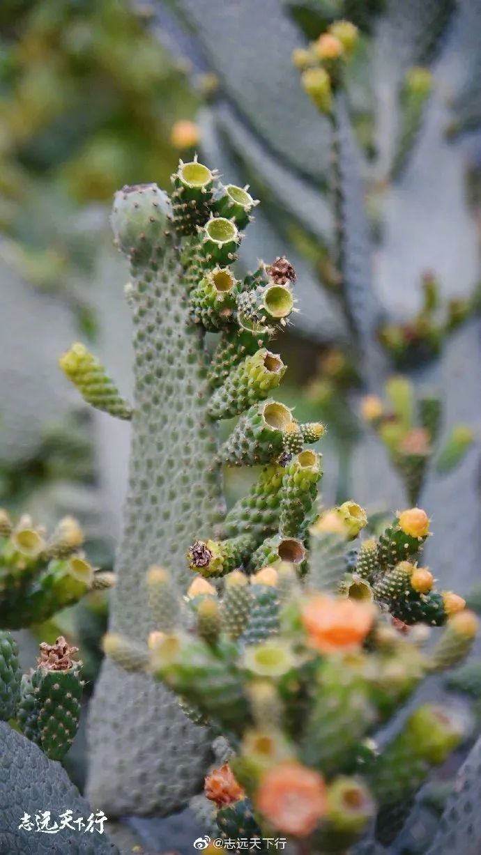 【闽山闽水物华新】又挖到宝藏旅游线路了！这份厦门两天一夜游玩攻略你一定要收藏！