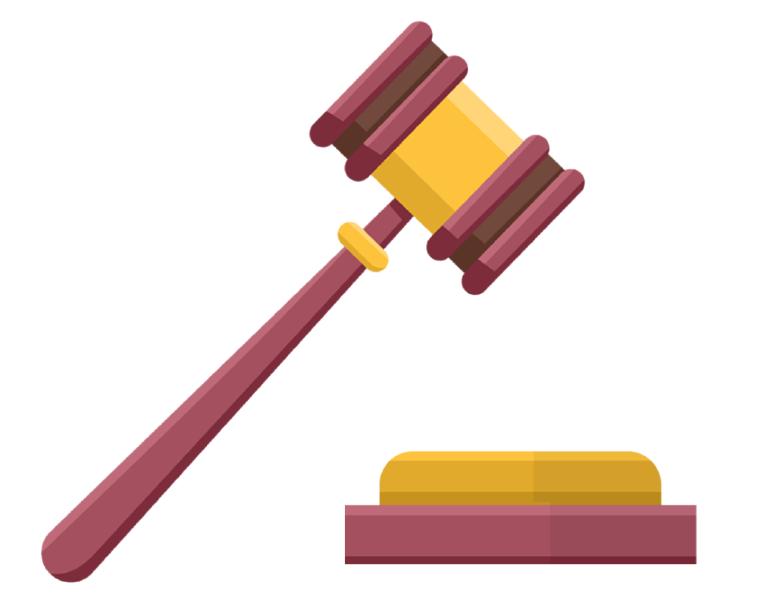 家养的狗咬伤别人怎么赔偿,收养遗弃的狗被咬谁负责