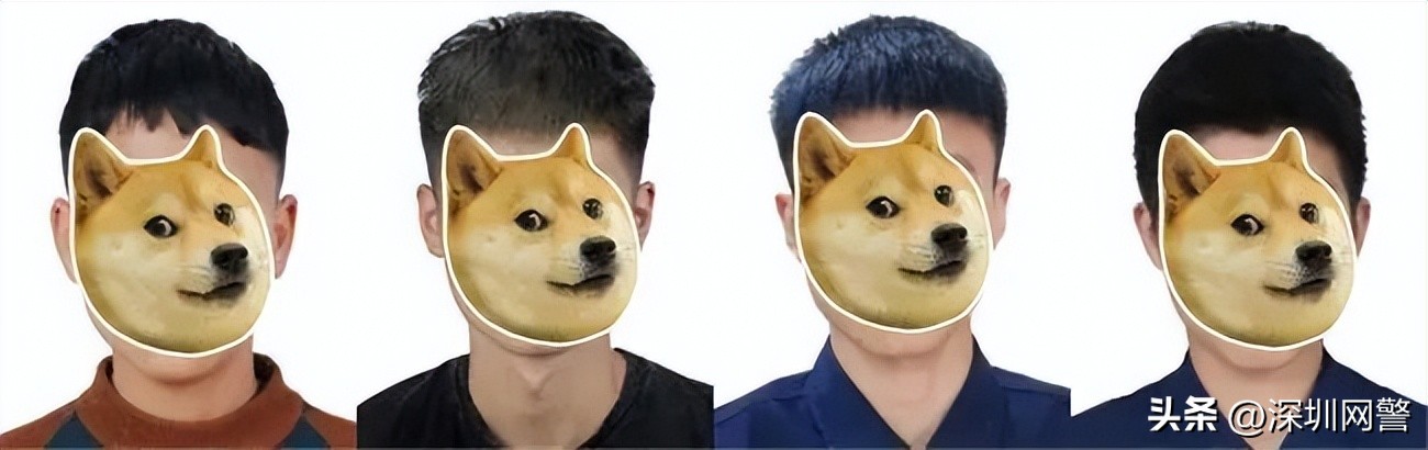 净网2019造谣者被列入黑名单,净网2019女子轻信黑客