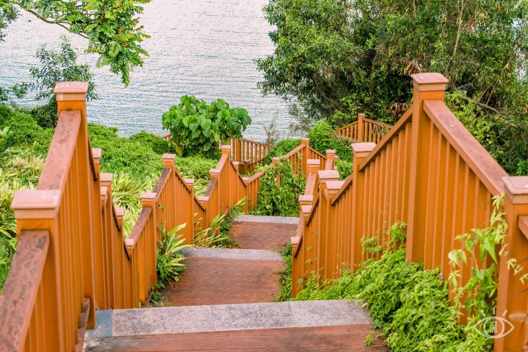 深圳小众好玩的景点排名榜,深圳小众海边旅游