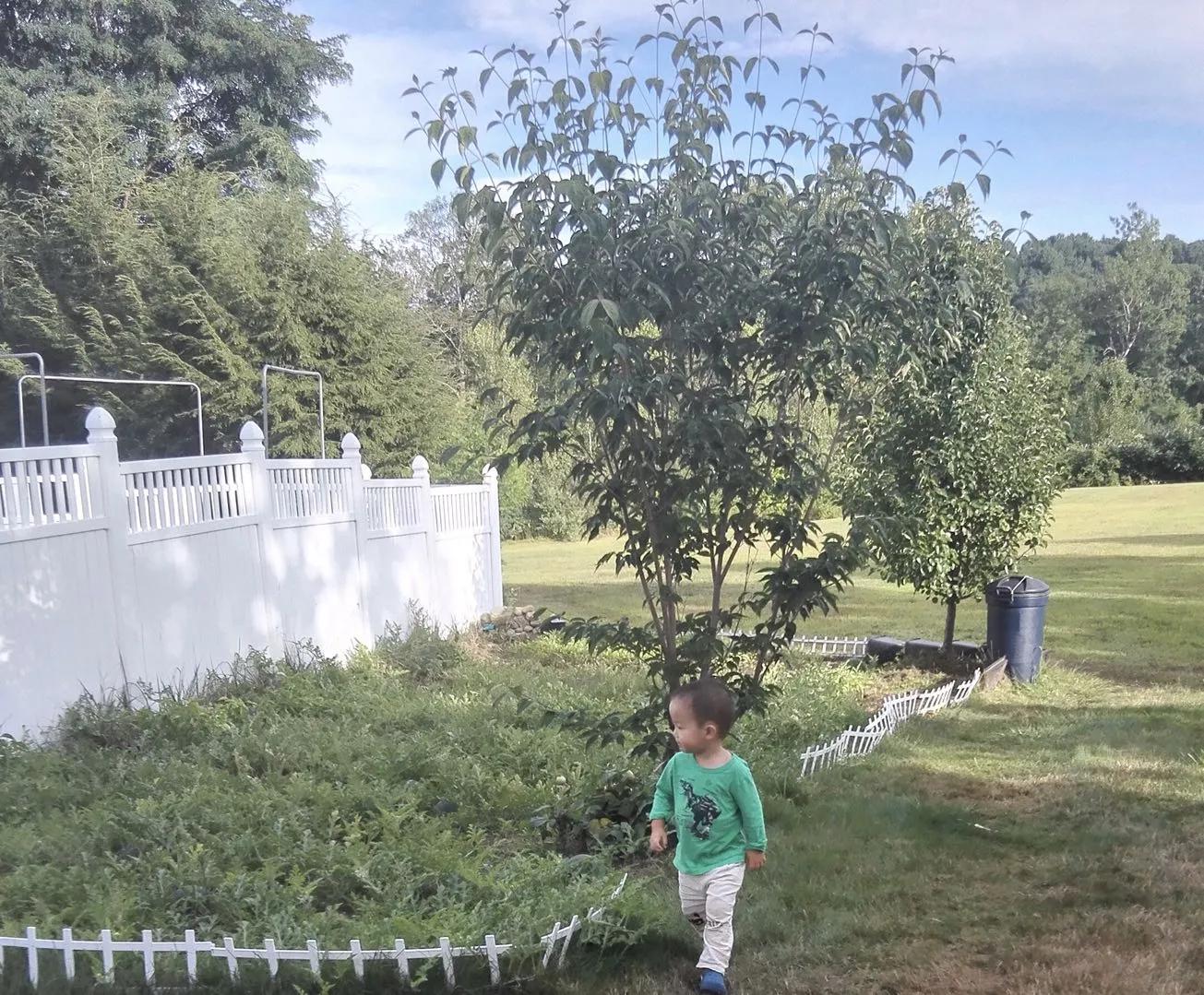 我在美国小镇做“隐士”