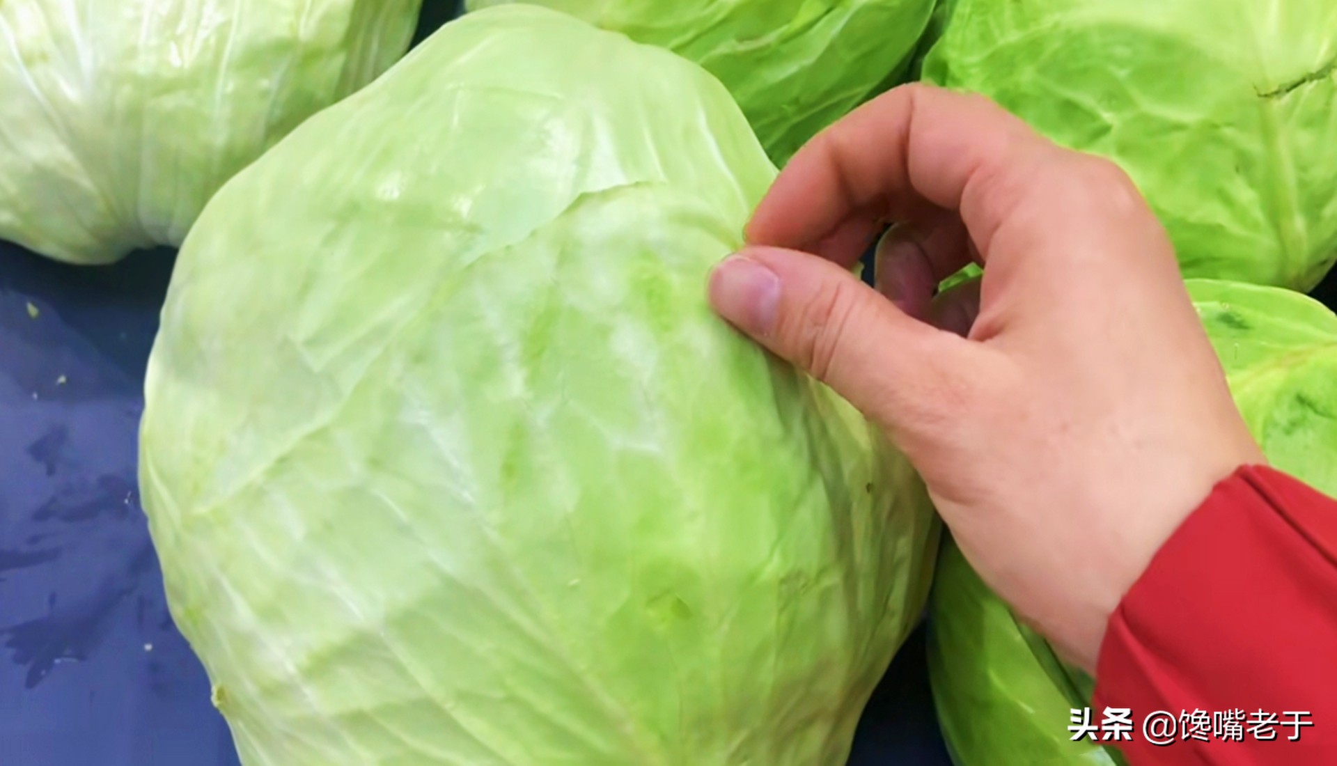 包菜紧实的好还是松的好,包菜松散好还是结实好吃