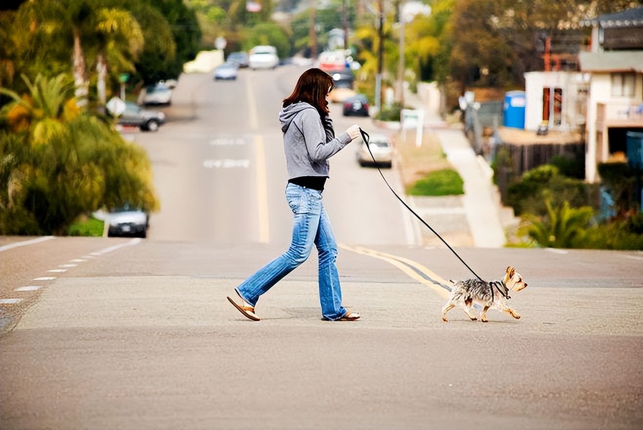 狗狗得了狂犬病是什么样的症状,有狂犬病的狗咬人是什么症状