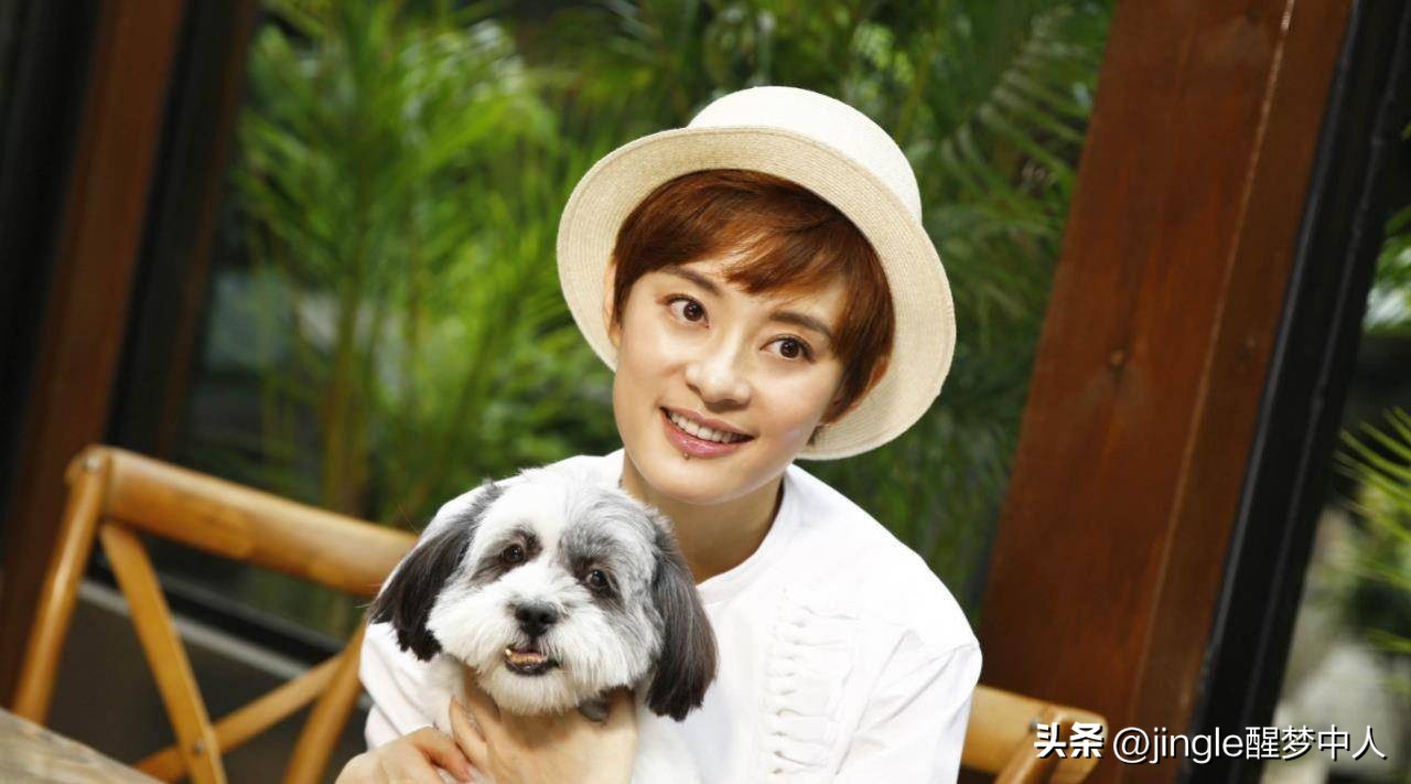 推荐张译演的悬疑电视剧,张译主演刑侦剧预播