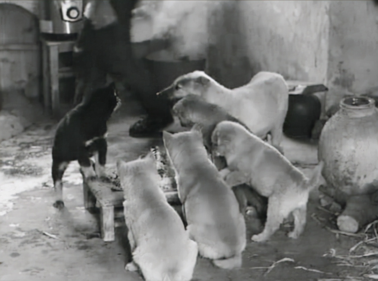 史上最经典的战法,史上最强一套经典战法