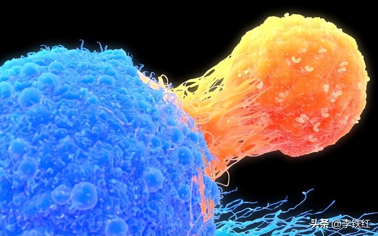 gp96治疗肿瘤,gp96预防癌症效果