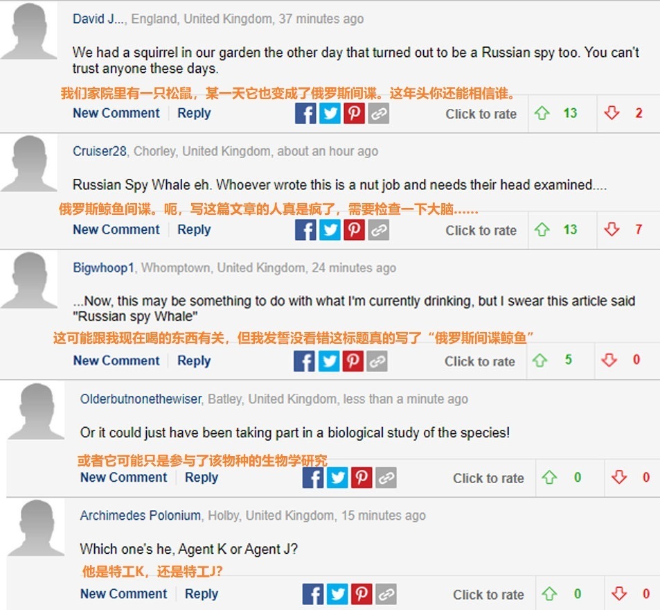 俄间谍白鲸再现北欧海岸,英媒称间谍白鲸再现北欧