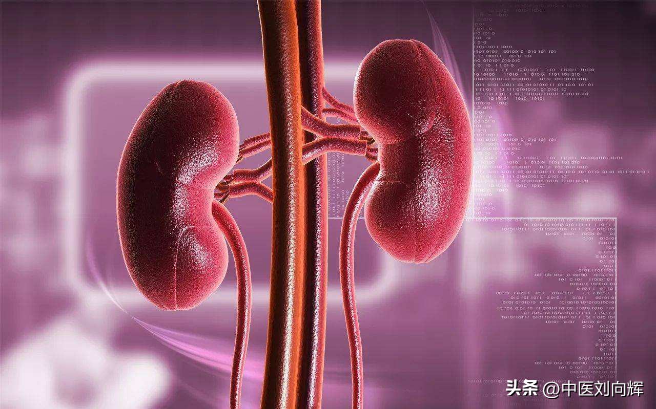 滋补补肾健脾的中药,健脾祛湿和滋阴补肾的中药