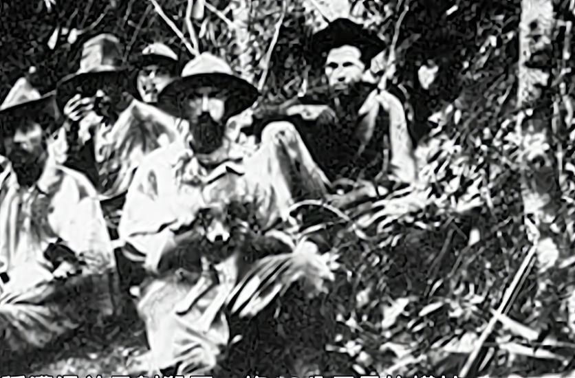 地球上的巨蟒,世界上的巨型蟒蛇到底有多大