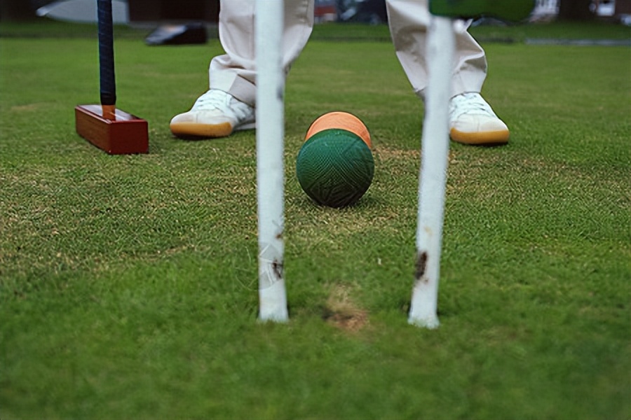 草坪养护撒石灰还是先播种,草坪养护是否复杂