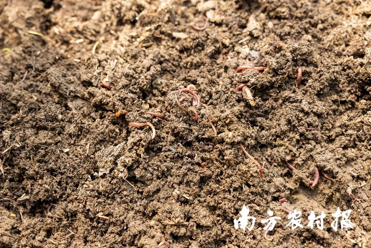 吾心归处为吾乡,吾心归处是原乡歌词