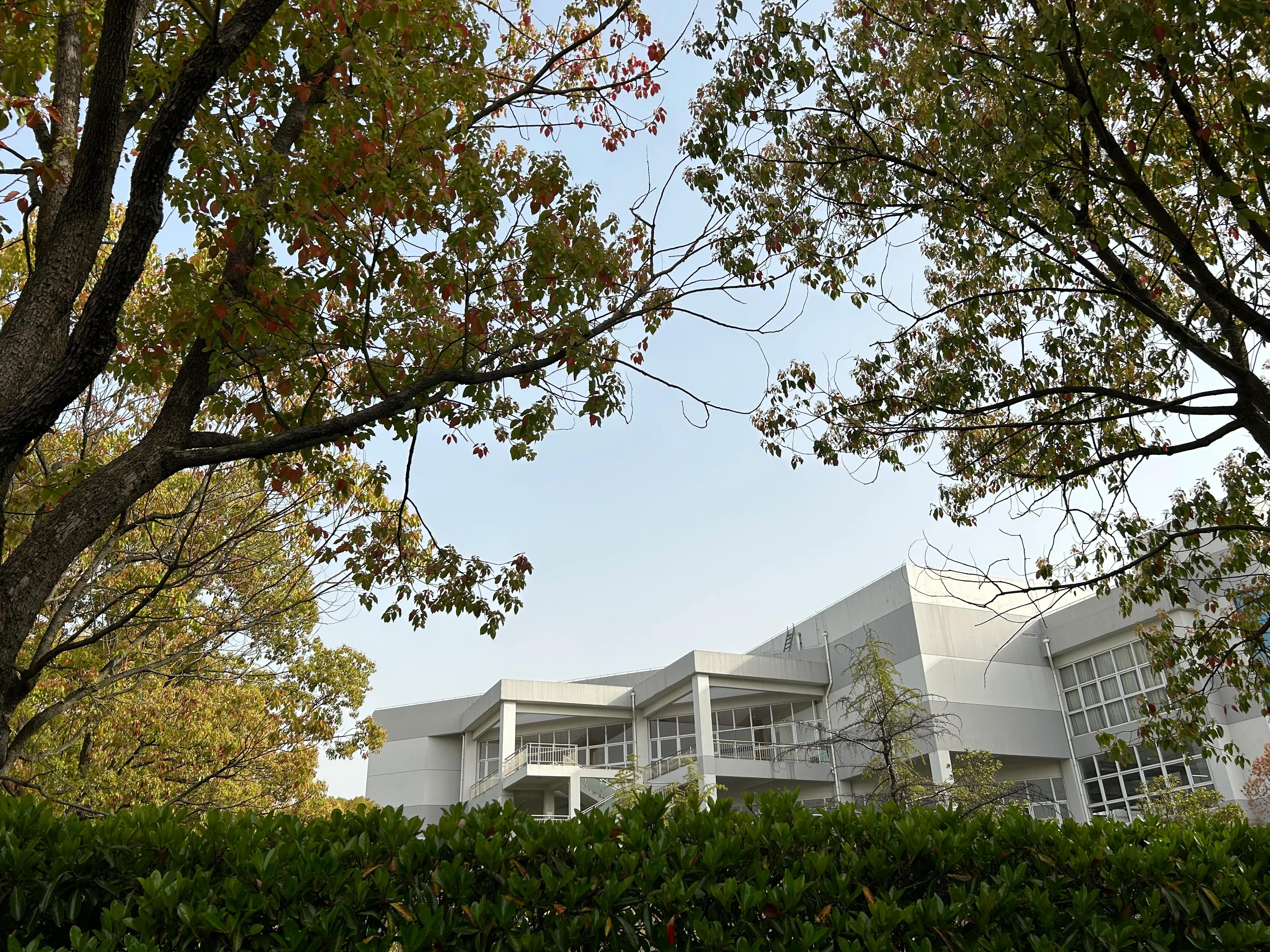 抄书有必要吗现在,为什么现在那么多人抄书