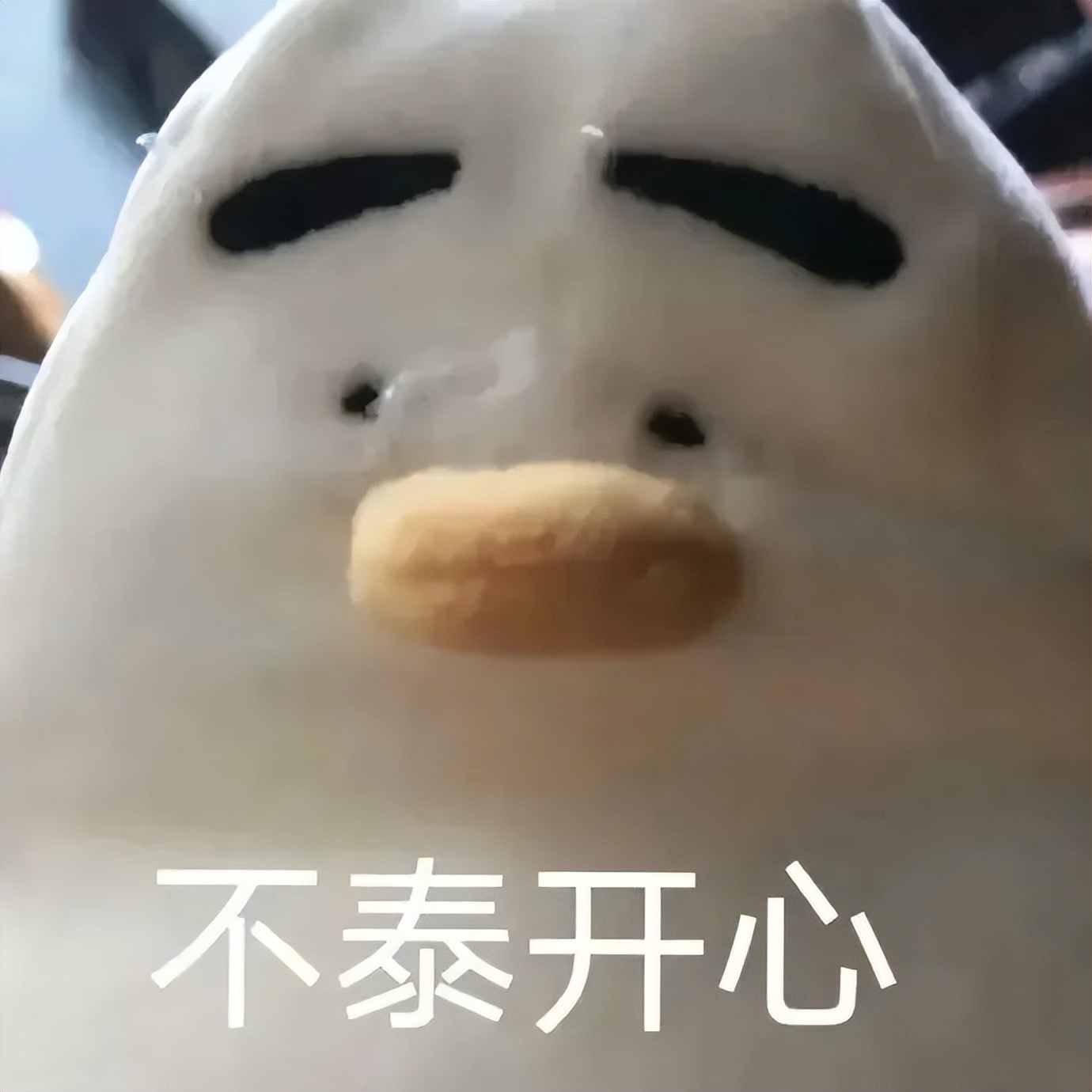 “3W4给女友买战损风上衣...”啊啊啊转身后当场裂开了!