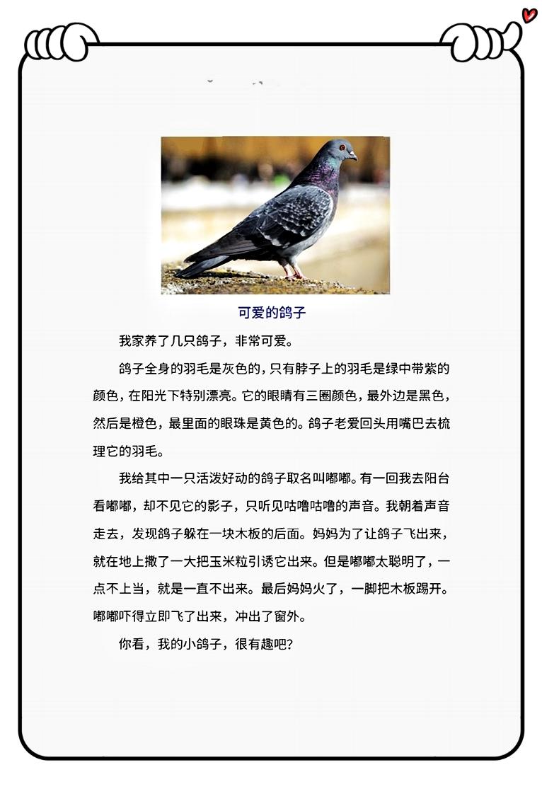 二年级语文下册写可爱的小动物,二年级下册第七单元作文小动物