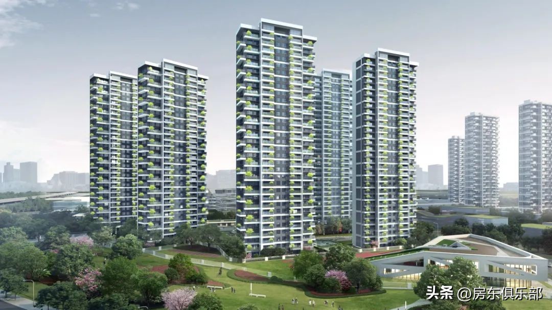 买金水北还是鸿园,买六味地黄丸的人