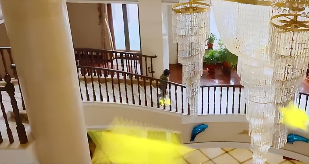 微商张庭现状如何,深度分析张庭微商