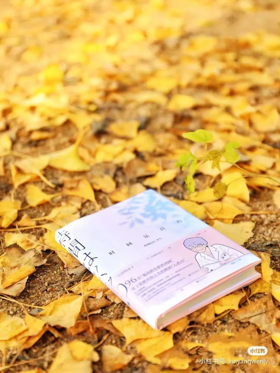 信阳南湾湖一日游详细攻略,信阳三日游攻略路线