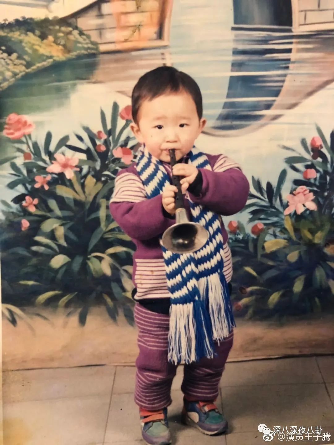 王子腾人物评价,王子腾是男的还是女的