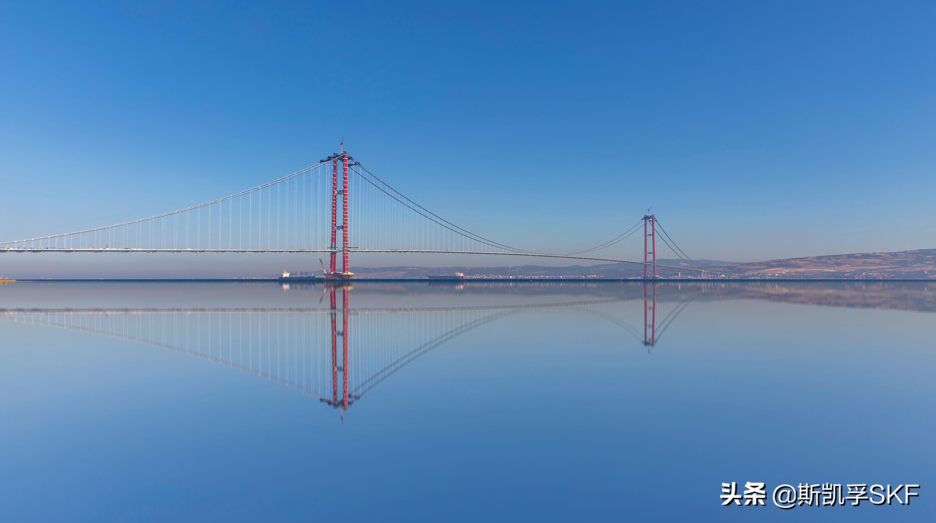 skf滚动轴承样本,skf轴承直线