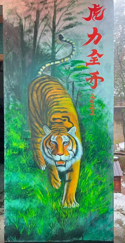 网红帅农鸟哥视频,黑马帅农鸟哥是如何走红的