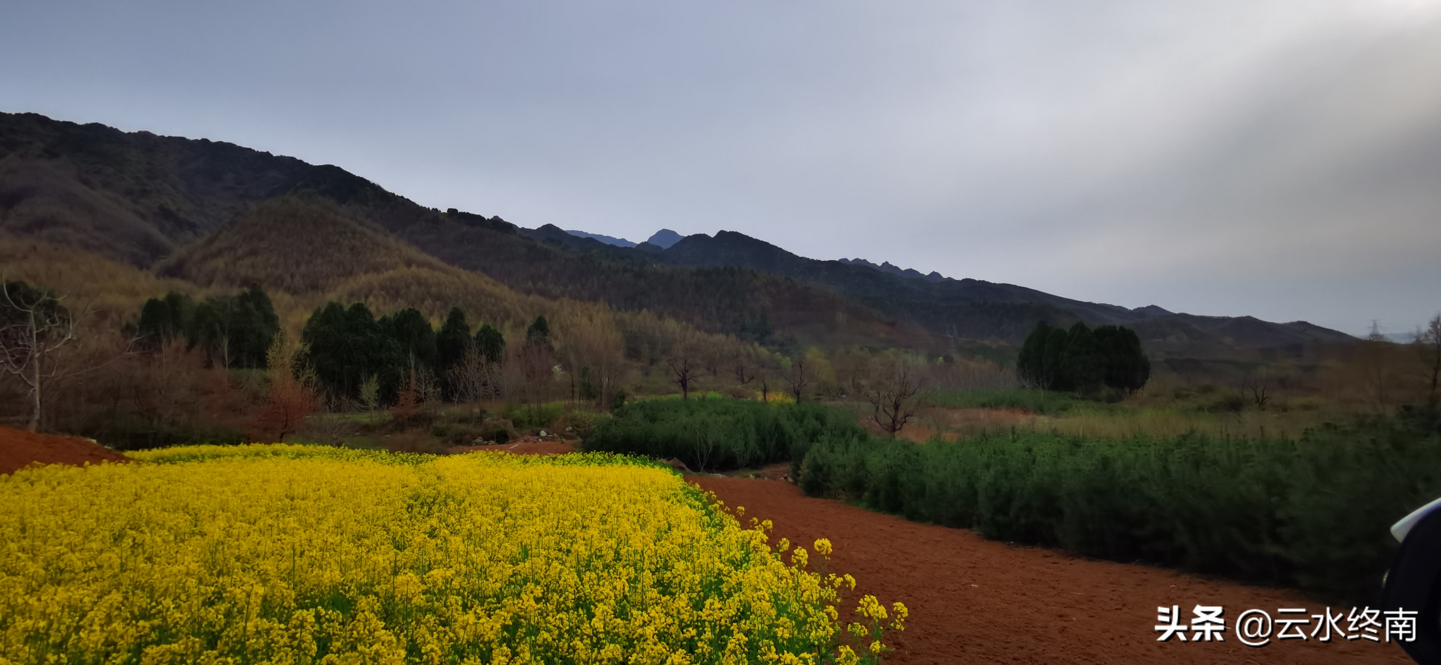 野逛桐花沟，我想欺骗一个老汉却被识破，不料却发现了一个峪口