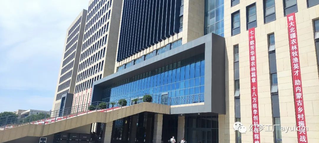 你好母校作文800字,你好母校作文