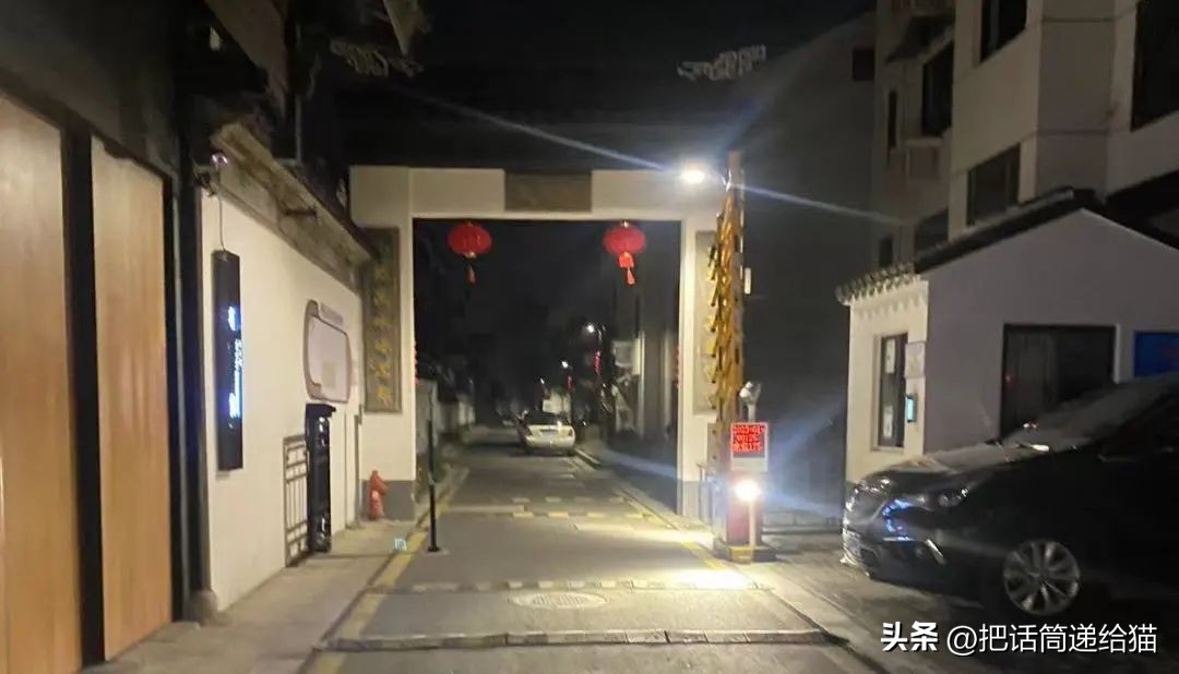 江苏偷猫事件,偷猫人被抓新闻