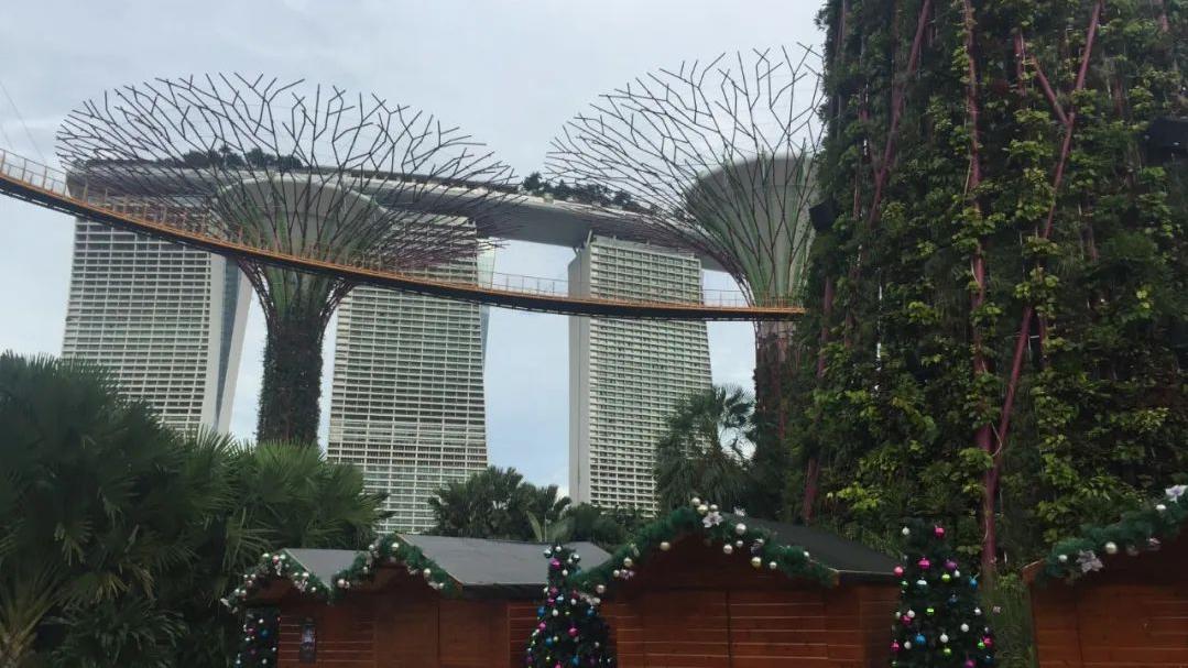 滨水休闲产业全球考察之旅(十一)新加坡滨海湾花园的新颖创意