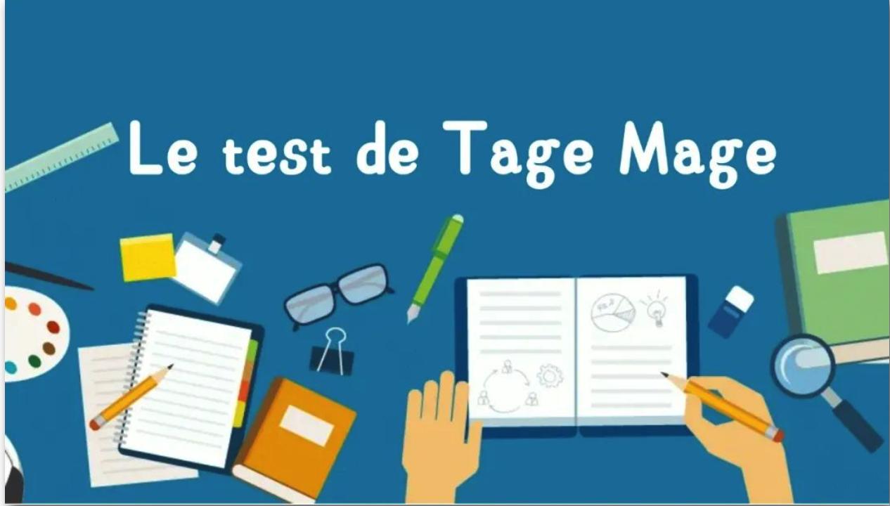 TageMage测试已经成为越来越多商学院的选拔标准之一