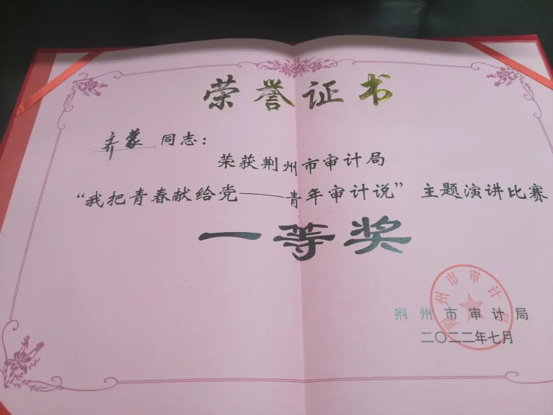 听听审计人的“盛夏果实”