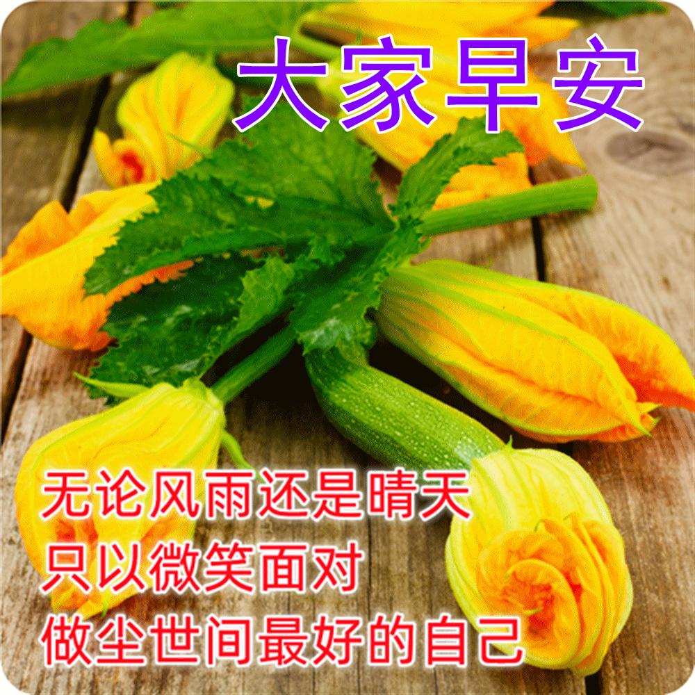 早上好最漂亮问候语动态表情图片,最美早安问候图片带字动态