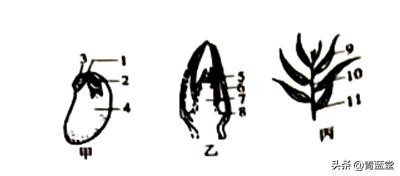 2021年山东省聊城市中考生物真题