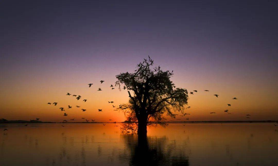 中国第19届国际摄影艺术展览征稿,第十八届中国国际摄影艺术展评选