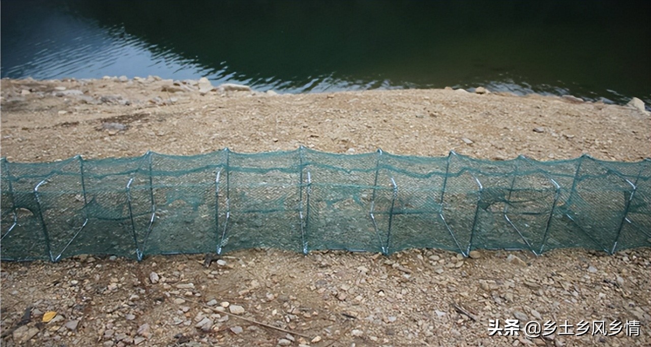 地笼网的正确使用方法,虾网地笼的使用方法