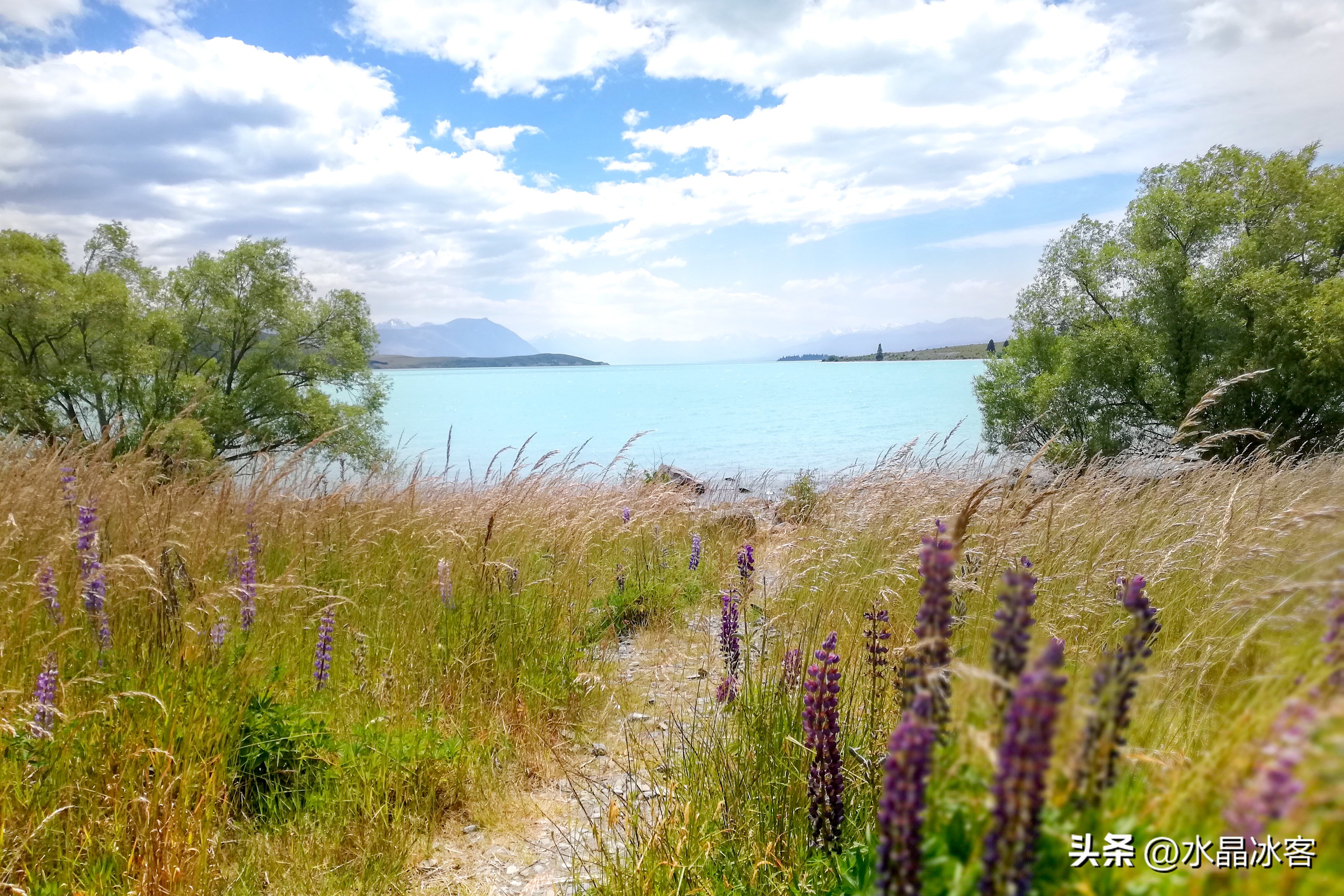 南岛新西兰之旅,新西兰之南岛