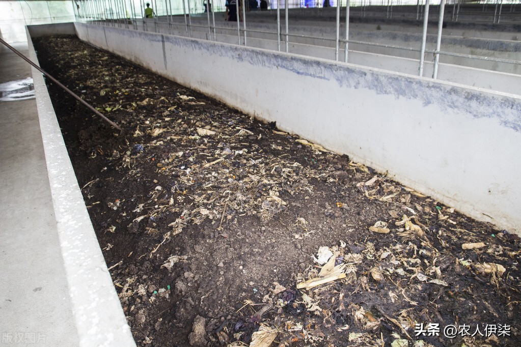 现在养蚯蚓前景如何,蚯蚓养殖这几年的前景如何