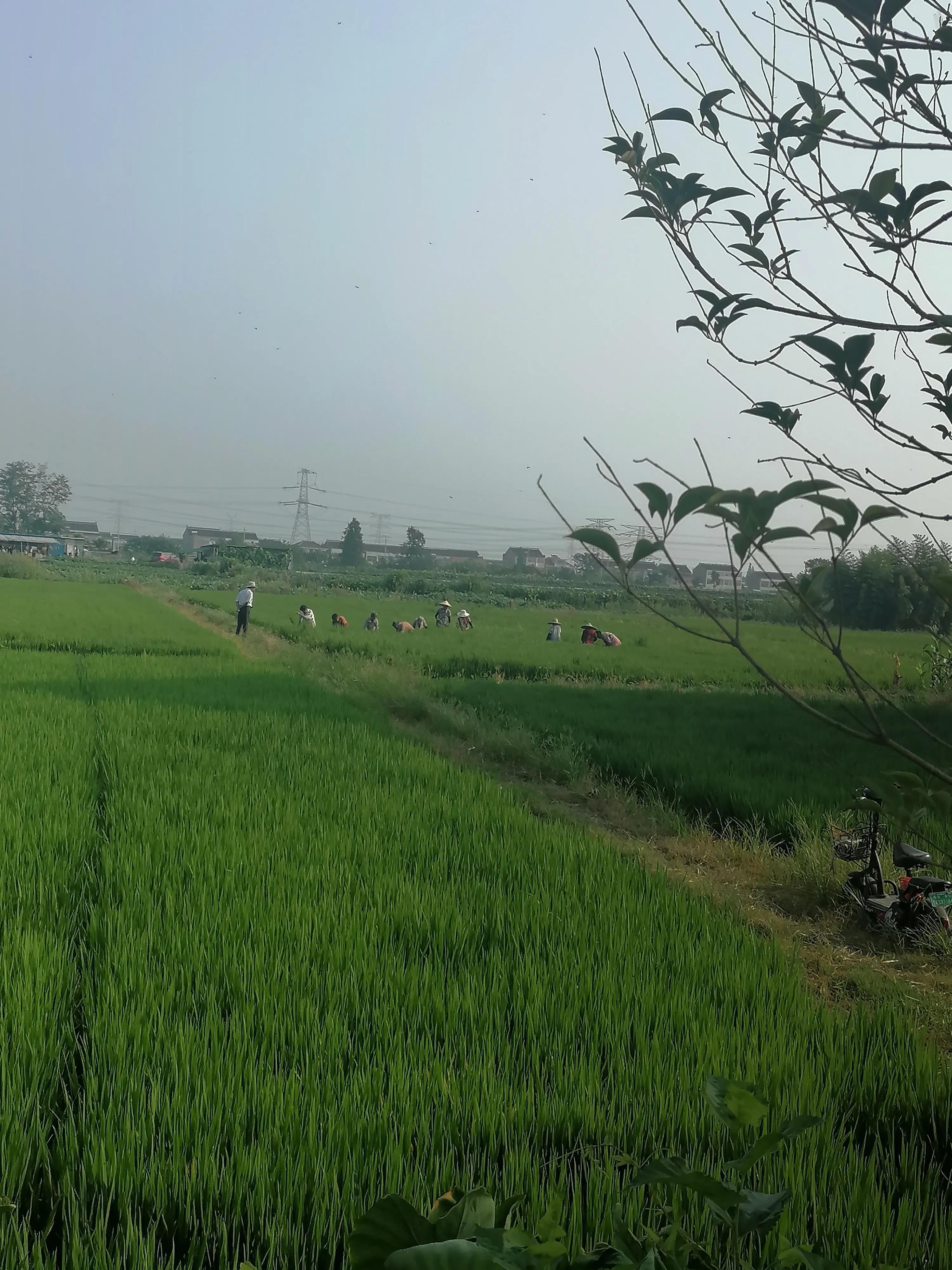 农村承包100亩土地能挣多少钱一年,70岁老人承包土地好吗