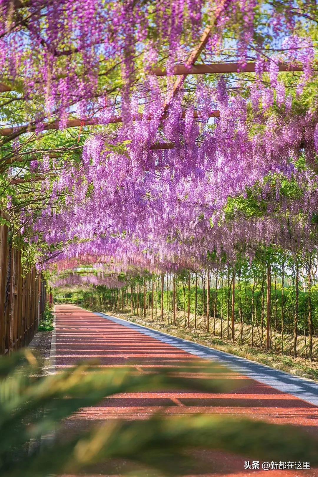 邂逅成都的100个生活细节,邂逅成都的一百个细节