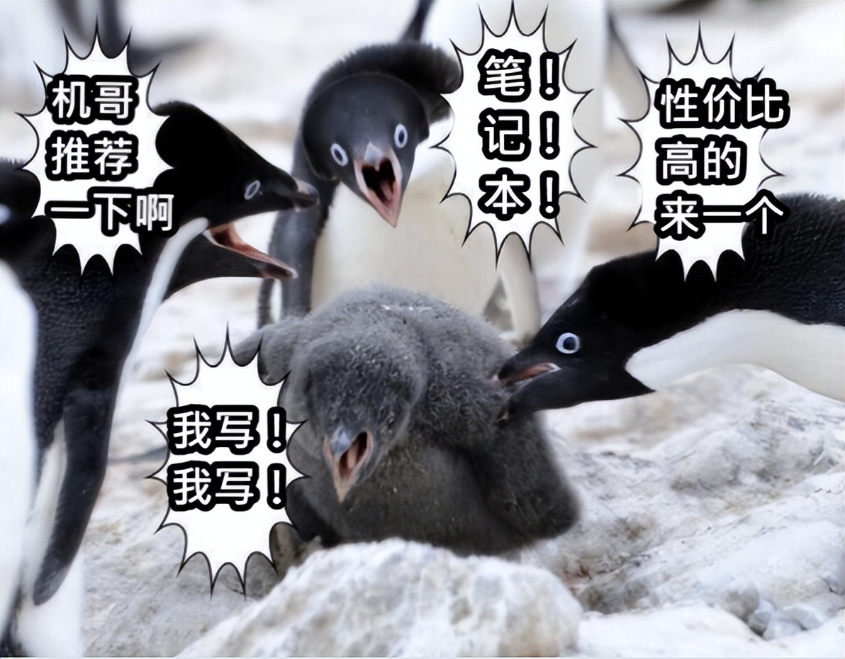 2023年如何挑选笔记本电脑,2023年笔记本性价比排行