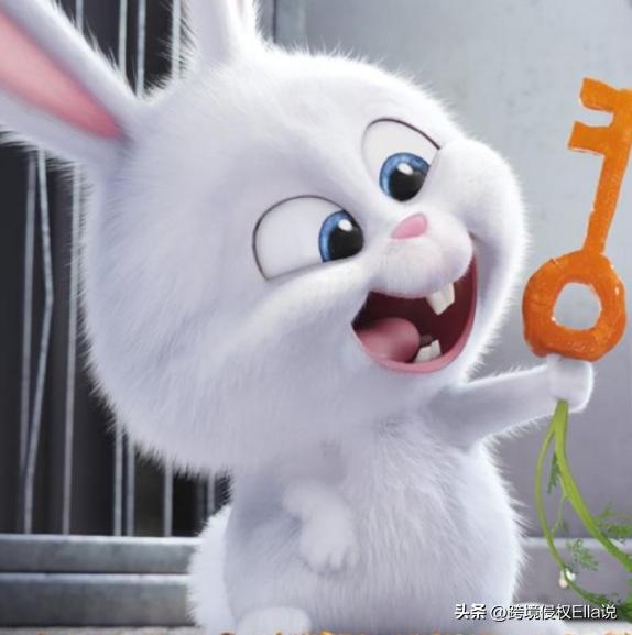 2023大展宏【兔】，跨境圈注意，这些国际知名兔子IP不建议上架！