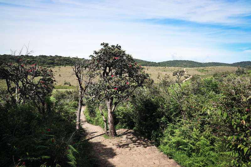 斯里兰卡旅游攻略必去景点,斯里兰卡最佳旅游攻略