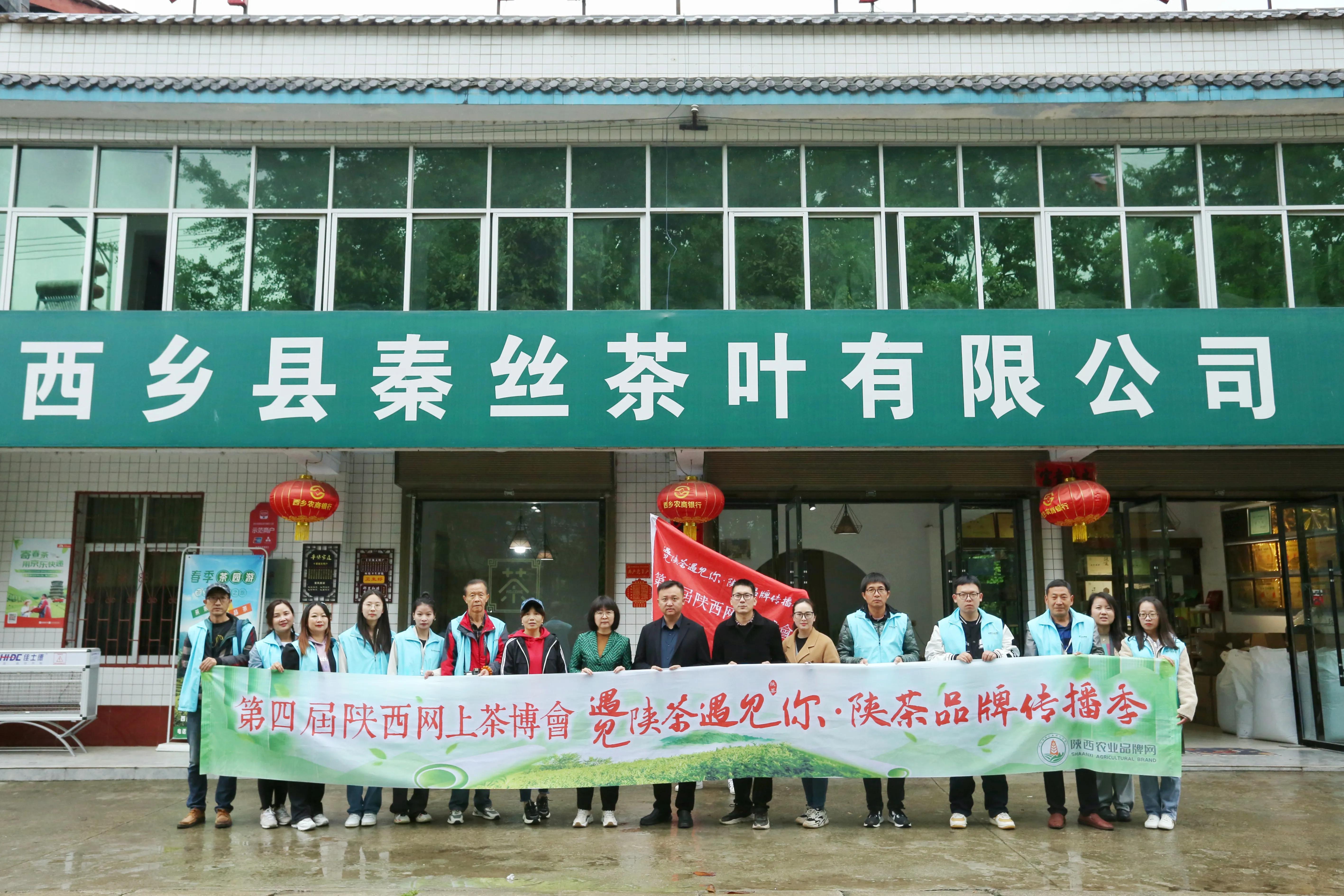 西乡县最美茶乡,西乡最美茶园