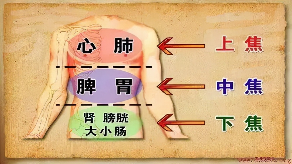 上焦火下焦寒引火下行心肾相交,引火下行湿热下焦寒吃什么中成药