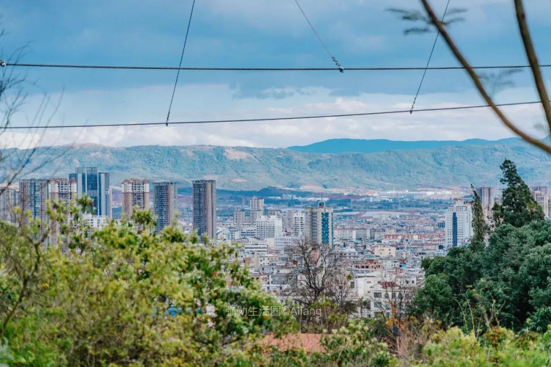 神仙树图书馆,神仙图书馆图片