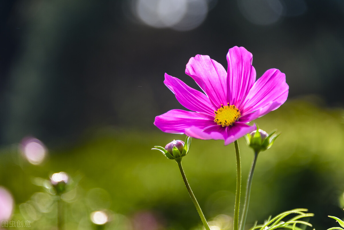 34岁男子相亲59次均失败,31岁男子相亲几十次均失败