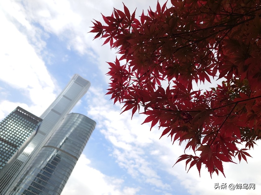 索尼xperia1v深度测评,索尼xperia1iii摄像头传感器