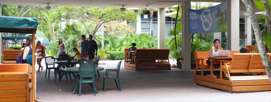 迈阿密大学详细介绍,迈阿密大学的简介