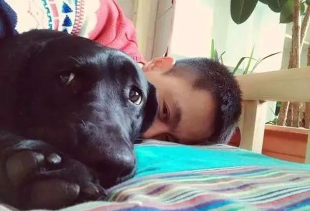 养狗白的好还是黑的好,养狗对孩子有什么好处和坏处