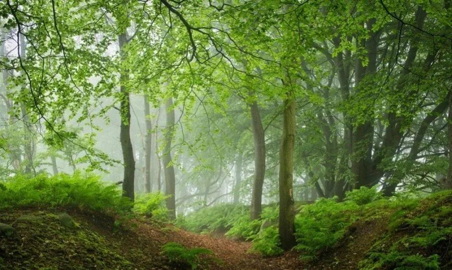 中庸智慧精华解析,中庸之道是先圣先贤的智慧结晶